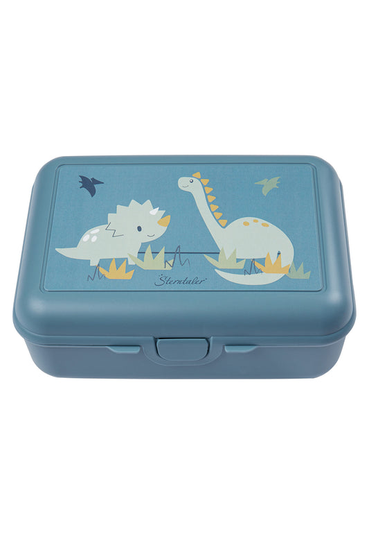 Children's lunch box